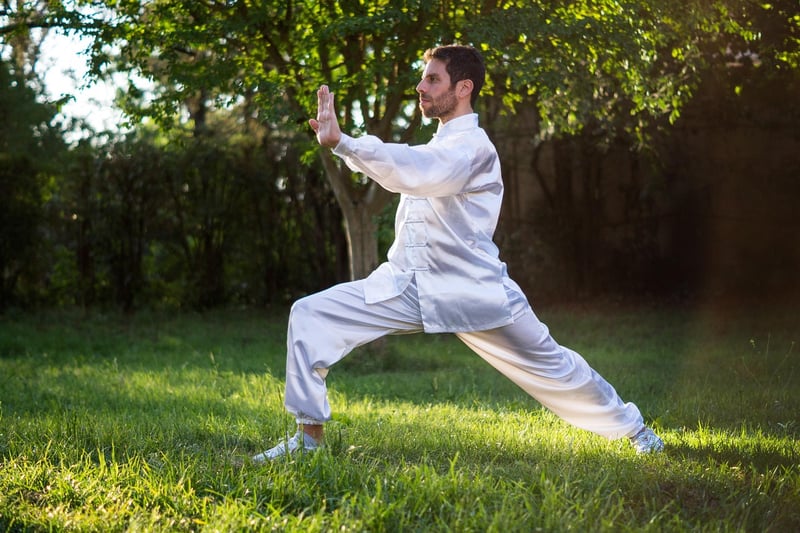 Tai Chi Push Hands