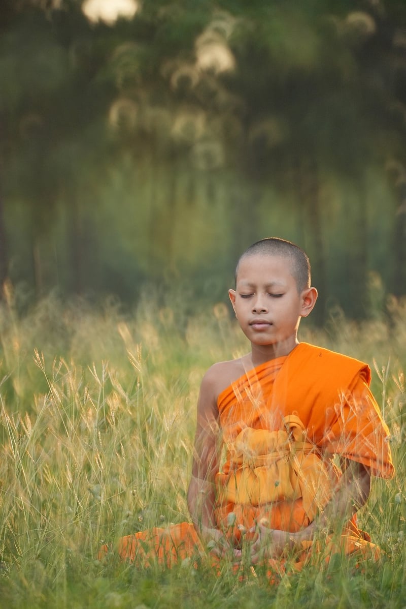 Tai Chi in Meditation